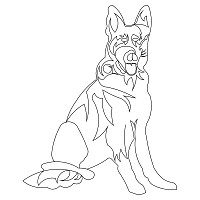 german shepard 002